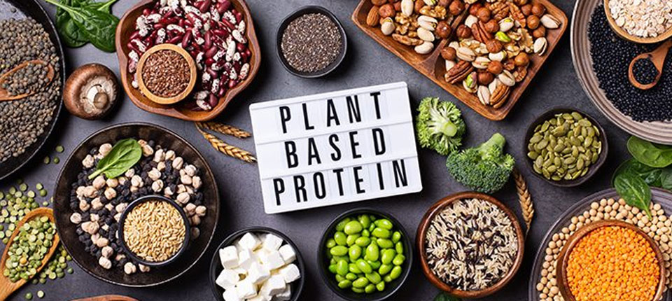 Healthy Lifestyle High-Protein Vegetarian Diet