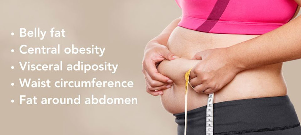Understanding-Abdominal-Fat