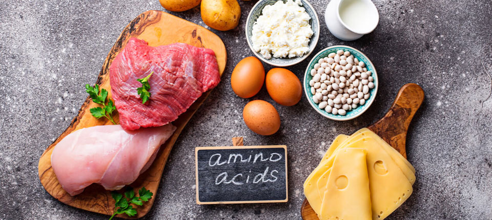 amino-acids-with-diet