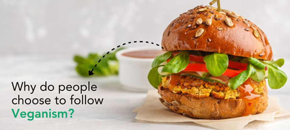 Is becoming a vegan beneficial or harmful to society?